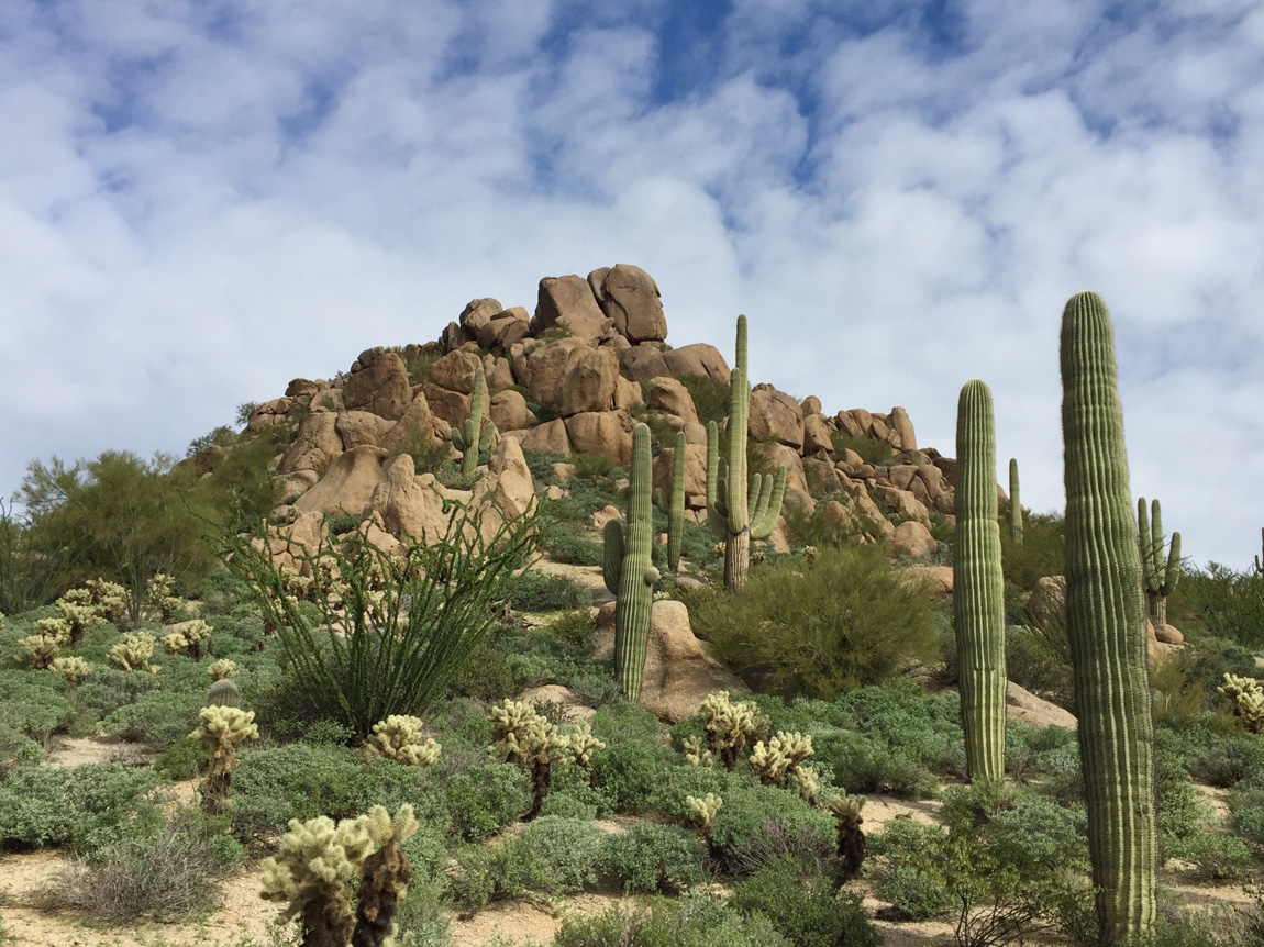 Safest-Cities-In-Arizona